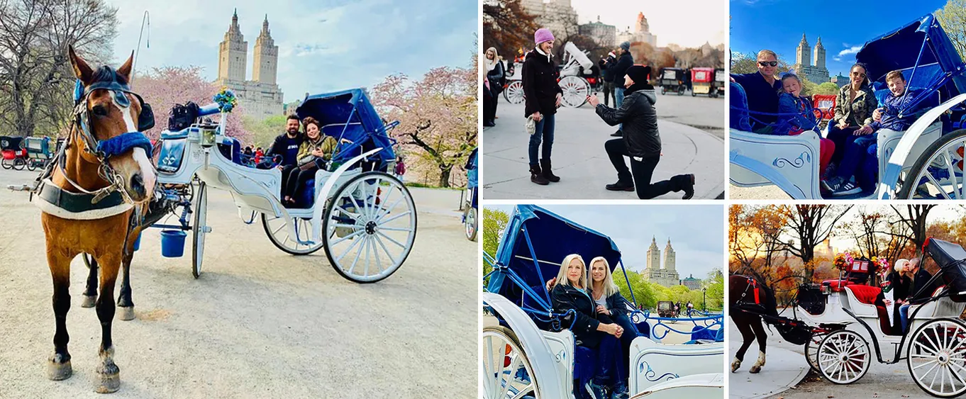 45 Min Long VIP Central Park Carriage Ride