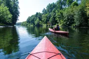 Two people are kayaking on a calm river surrounded by lush greenery on a sunny day.