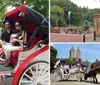 Tourists are enjoying a carriage ride in a park with a city skyline in the background