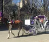 Tourists are enjoying a carriage ride in a park with a city skyline in the background