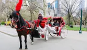 A horse-drawn carriage, with a driver and passengers on board, travels through a park-like setting with skyscrapers in the background.