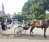 A horse-drawn carriage with passengers is parked in what looks like a city park with tall buildings in the background