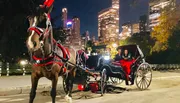 A horse-drawn carriage is seen at night on an urban path with a couple seated inside, surrounded by the illuminated skyscrapers of a city backdrop.