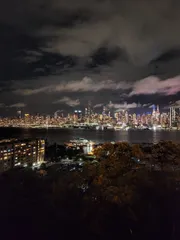 The image shows a vibrant nighttime view of a city skyline across a body of water, under a cloudy sky, with foreground vegetation partially framing the scene.