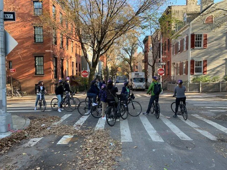 A group of cyclists is waiting at a pedestrian crossing on a tree-lined street with brick buildings on a sunny day.