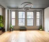 The image shows a modern well-lit empty room with large windows an ornate hanging light fixture and a vertical garden installation on the left wall